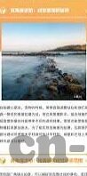 世界杯  双双出线-世界杯赛场上的奇迹，双双出线
